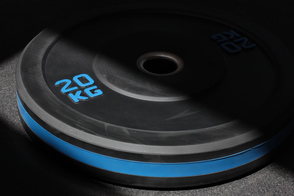 Bumpers-Plates-D6